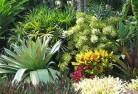 Bluff Pointsustainable-landscaping-3.jpg; ?>